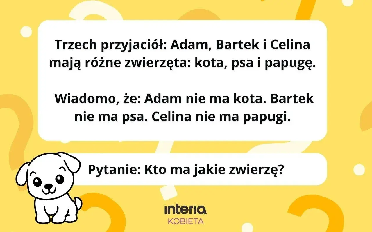 Rozwiąż zagadkę: kłiz o genzie. Adam, Bartek i Celina mają kota, psa i papugę. Kto ma jakie zwierzę?