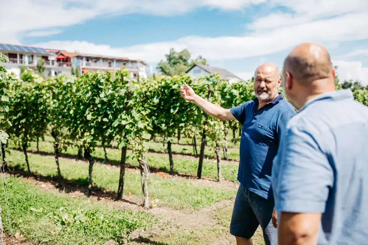 Winzer erklärt bei Veranstaltungen im Bodenseekreis die Reben. Im Hintergrund ein Gebäude mit Solaranlage.