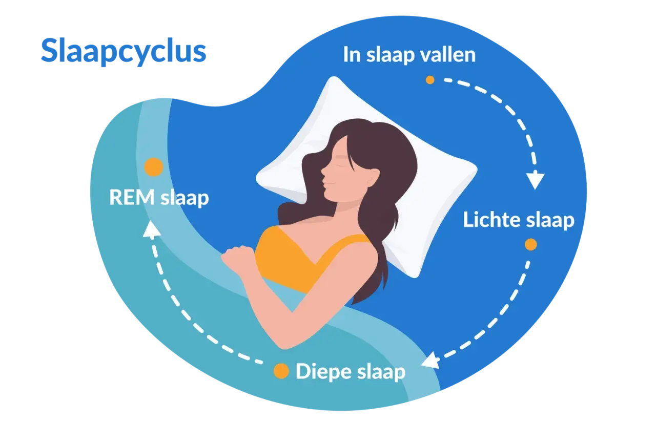 Illustratie van een vrouw die slaapt, met de slaapcyclus: in slaap vallen, lichte slaap, diepe slaap en REM slaap. Zelfs met 5 uur slaap doorloopt het lichaam deze fasen.