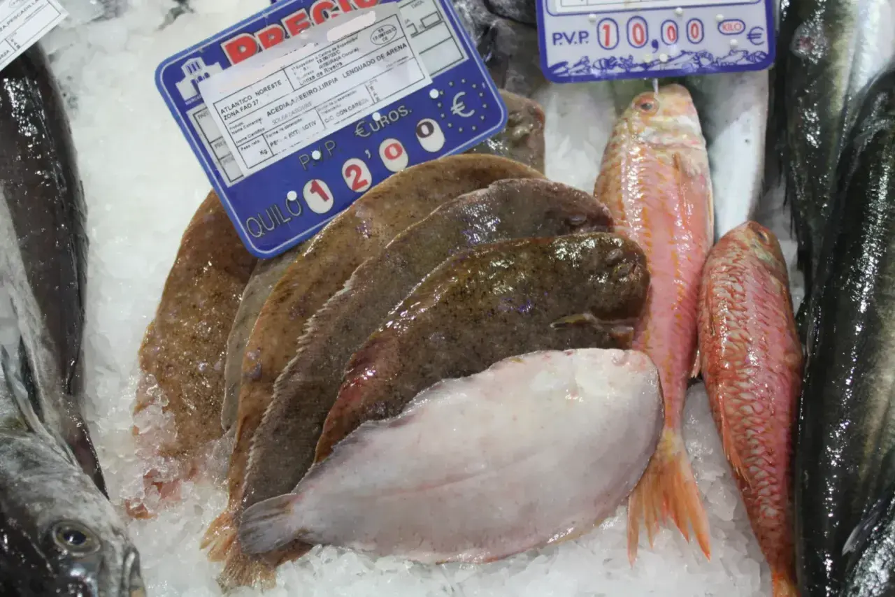 Pescado fresco en hielo: lenguados, salmonetes y otros peces. El cartel indica "acedia pescado" y su precio por kilo.