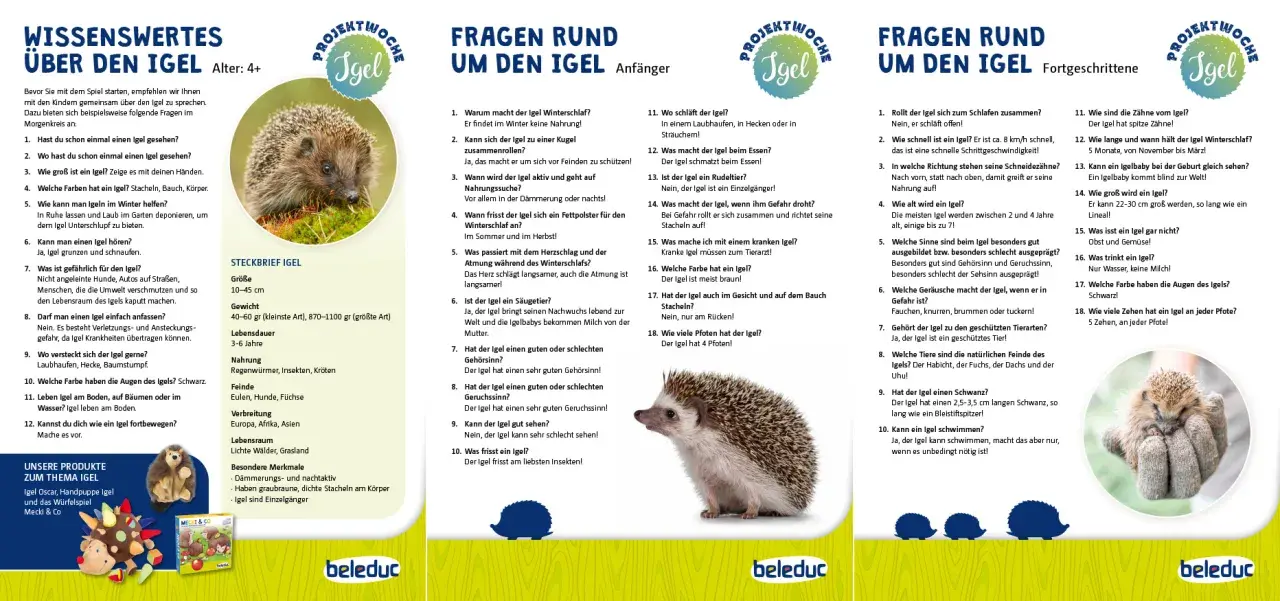 Ein niedlicher Igel sitzt auf einer Hand, umgeben von Informationen über den Igel-Kindergarten und Fragen rund um den Igel.