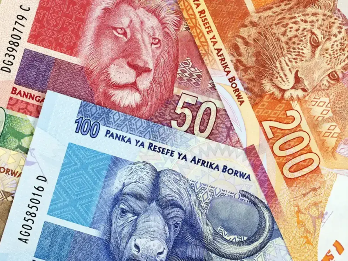 Różne banknoty, w tym waluta RPA, z wizerunkami zwierząt: lwa, lamparta i bawołu.