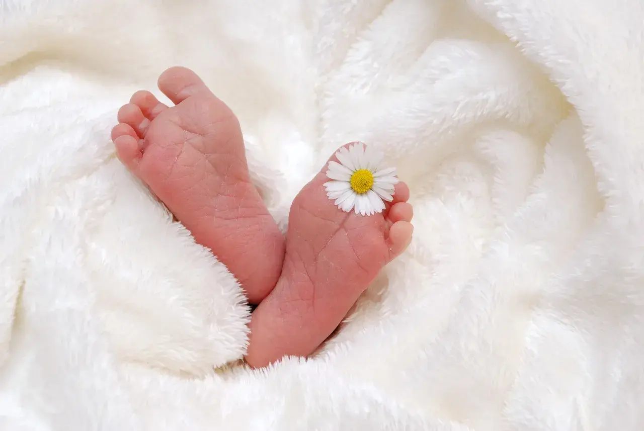 Piccoli piedini di neonato avvolti in una coperta soffice, con un fiorellino che ricorda il riflesso di Babinski.