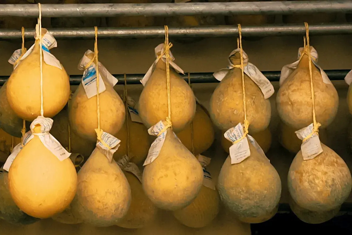 Forme di caciocavallo appese, alcune con muffa, pronte per stagionare. Ideali per chi cerca un caciocavallo lattosio.
