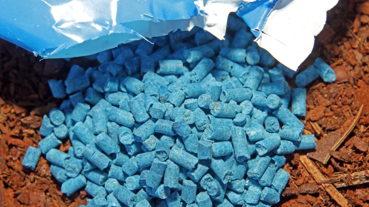 Ein blauer Haufen Schneckenkorn giftig liegt auf brauner Erde. Vorsicht, nicht für Kinder oder Haustiere!