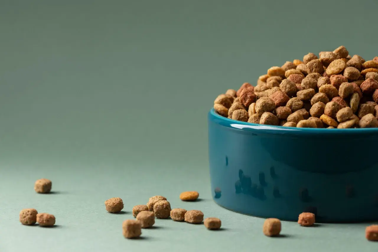 Un cuenco azul lleno de pienso para perros, ideal para criadores de perros que buscan la mejor nutrición.