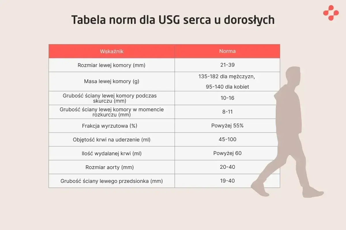 Tabela norm dla USG serca u dorosłych, prezentująca wskaźniki takie jak rozmiar i masa lewej komory, frakcja wyrzutowa. Wyniki badań echo serca porównuje się z tymi normami.