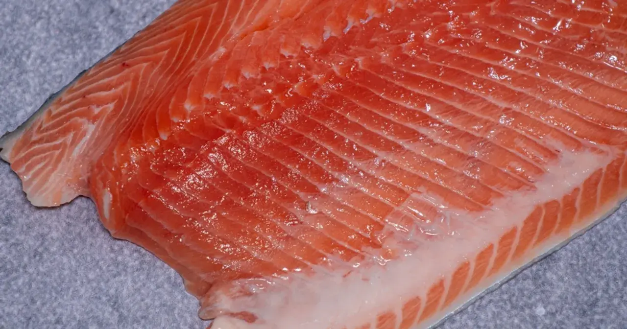 Surowy filet z pstrąga łososiowego, bogaty w kwasy omega-3. Czy pstrąg łososiowy jest zdrowy? Tak, to doskonałe źródło białka i witamin.