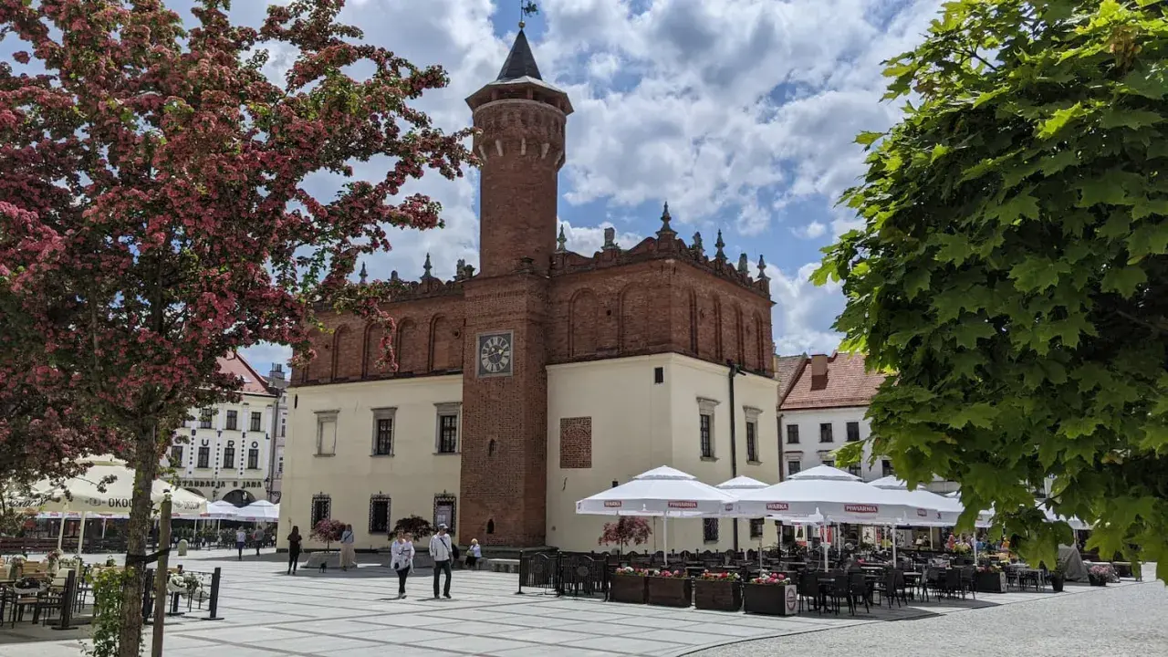 Rynek w Tarnowie z ratuszem i wieżą widokową. Wiosną kwitną drzewa, a kawiarnie zapraszają do ogródków.
