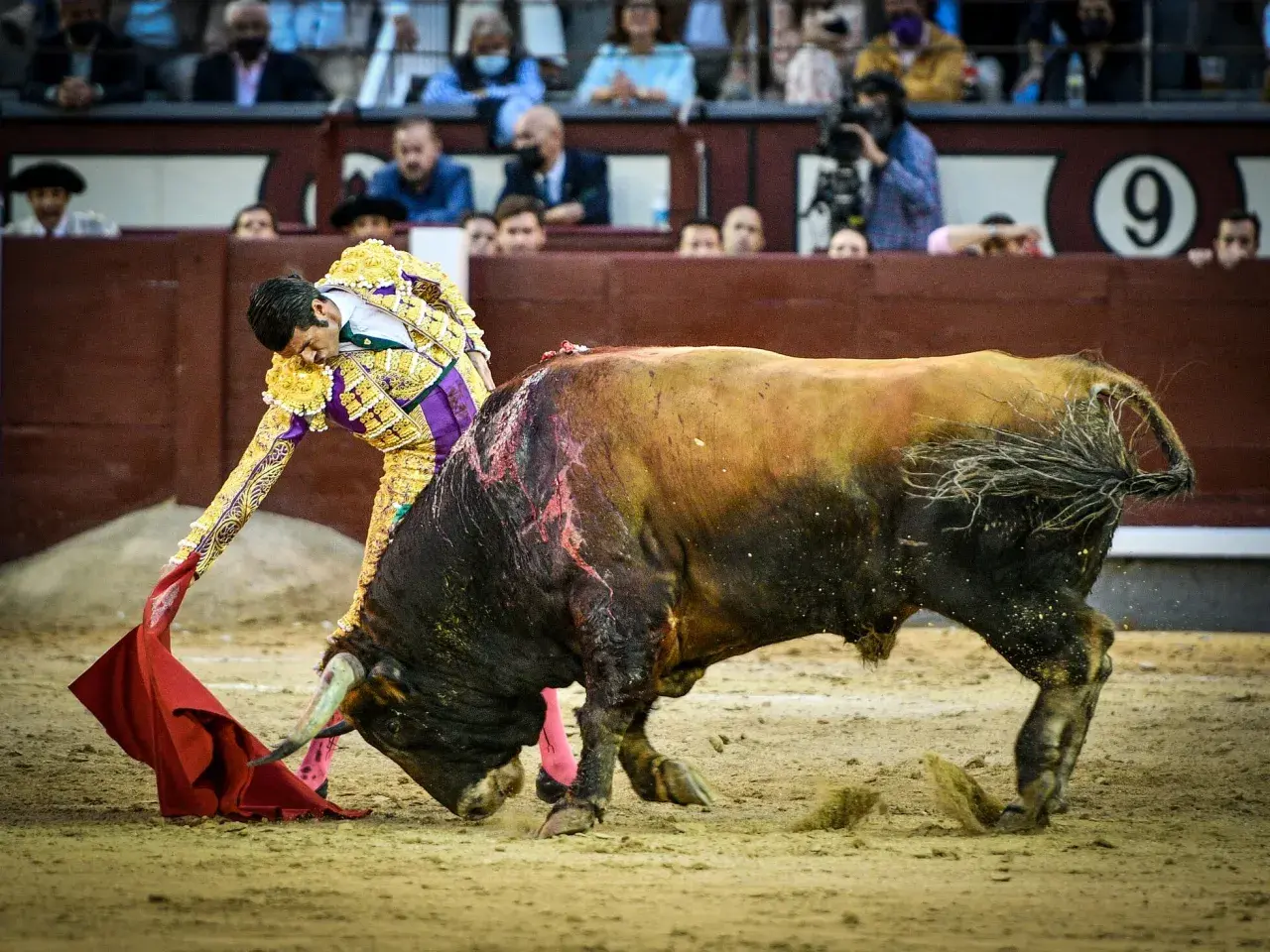 Emilio de Justo, torero, se enfrenta a un toro en Las Ventas. El público observa atento.