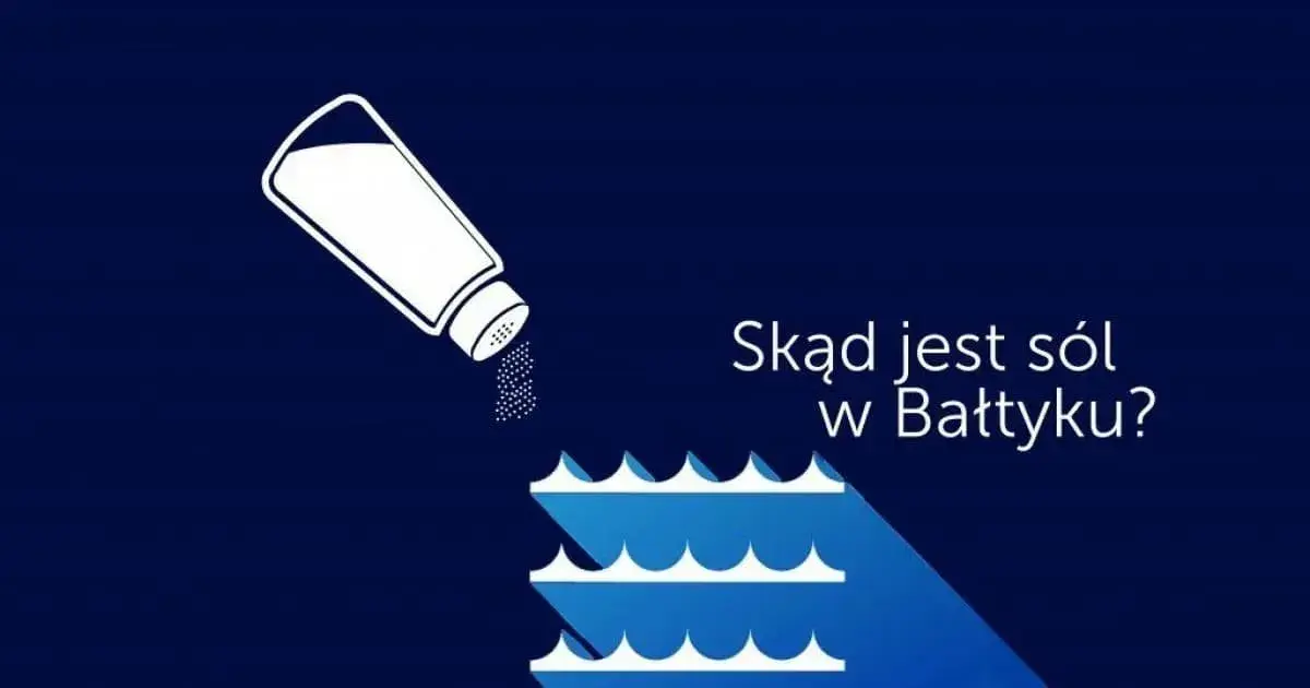 Jakie jest zasolenie Bałtyku? Zaskakujące różnice i przyczyny