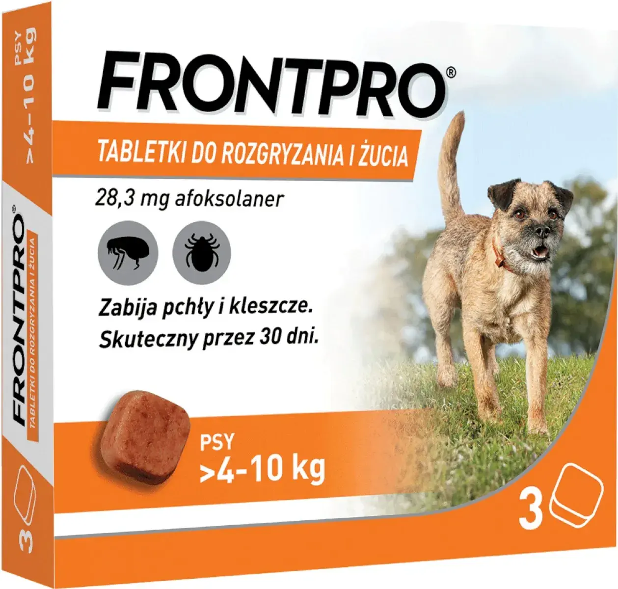 Tabletki na kleszcze dla psa: Które wybrać? Bezpieczny przewodnik
