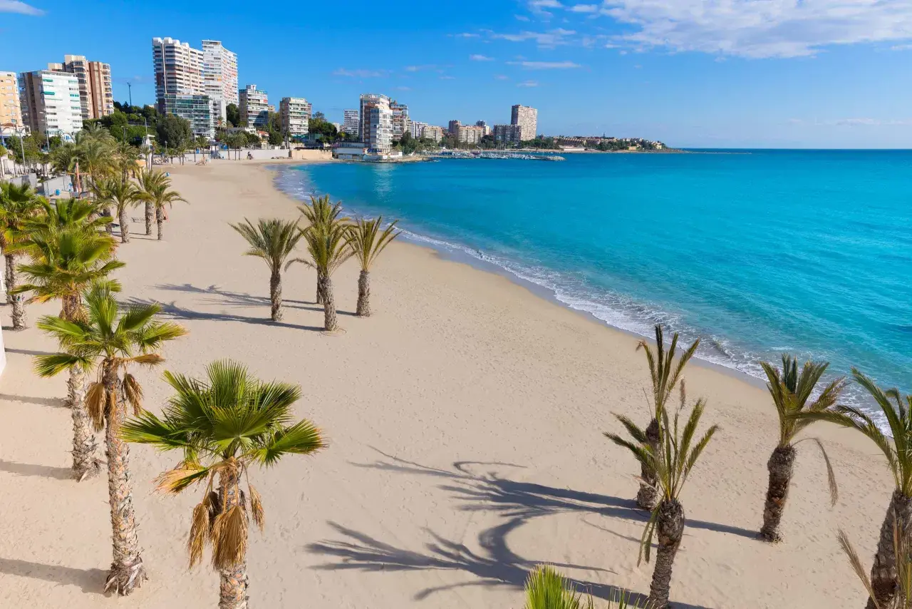 Piękna plaża z palmami i turkusowym morzem. Idealne miejsce na wakacje, pomyśl o lotach Warszawa-Alicante!