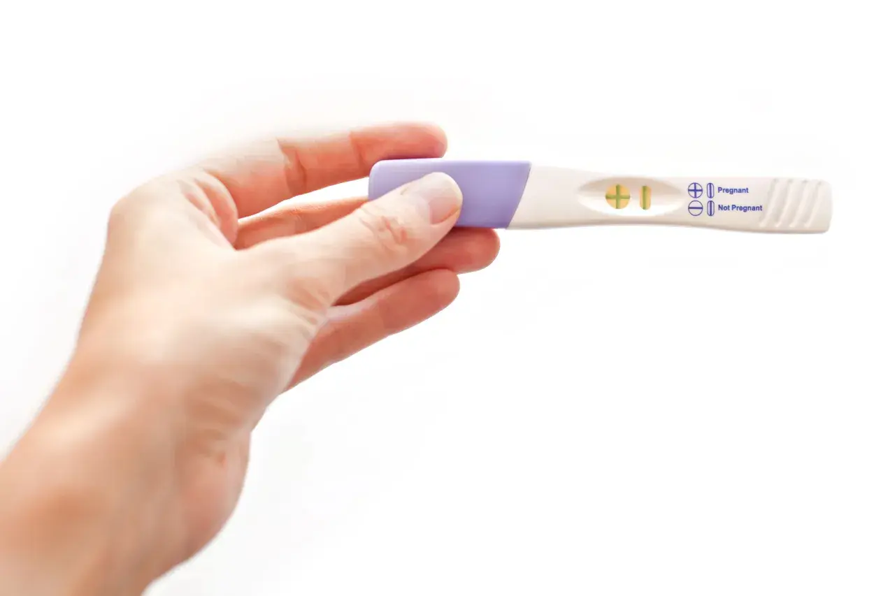 Dłoń trzyma test ciążowy z dwoma kreskami, wskazującymi na pozytywny wynik. Test wykrywa hormon hcg.