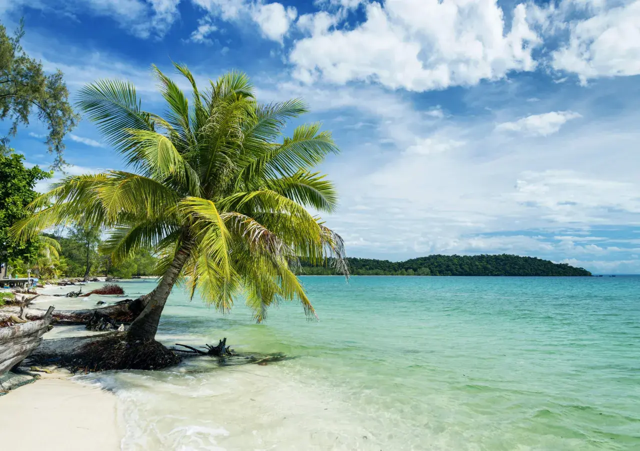 Traumhafter kambodscha strand mit Palmen, türkisfarbenem Wasser und bewaldeter Insel.
