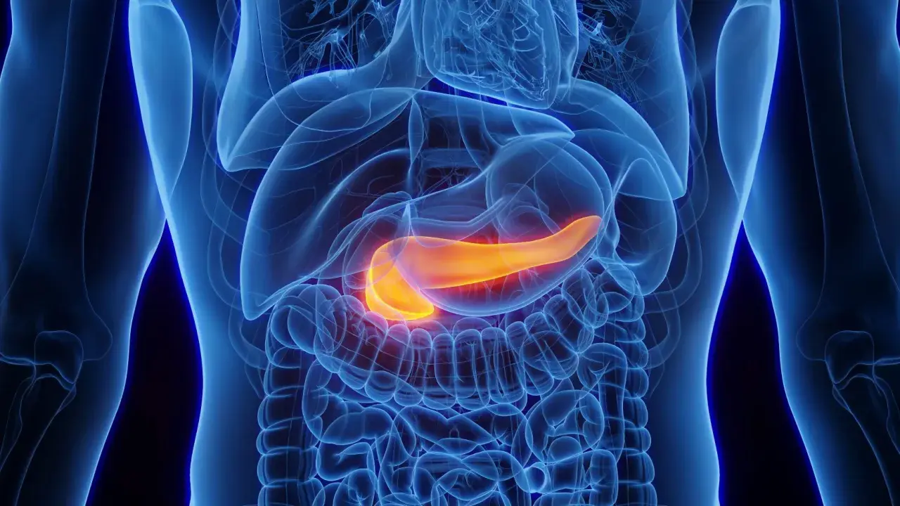 Jaki lekarz od trzustki? Gastroenterolog objawy i diagnoza
