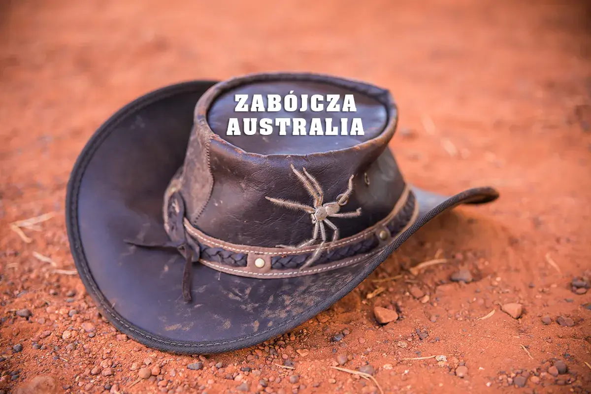 Czy w Australii jest bezpiecznie? Odkryj zagrożenia i bezpieczeństwo