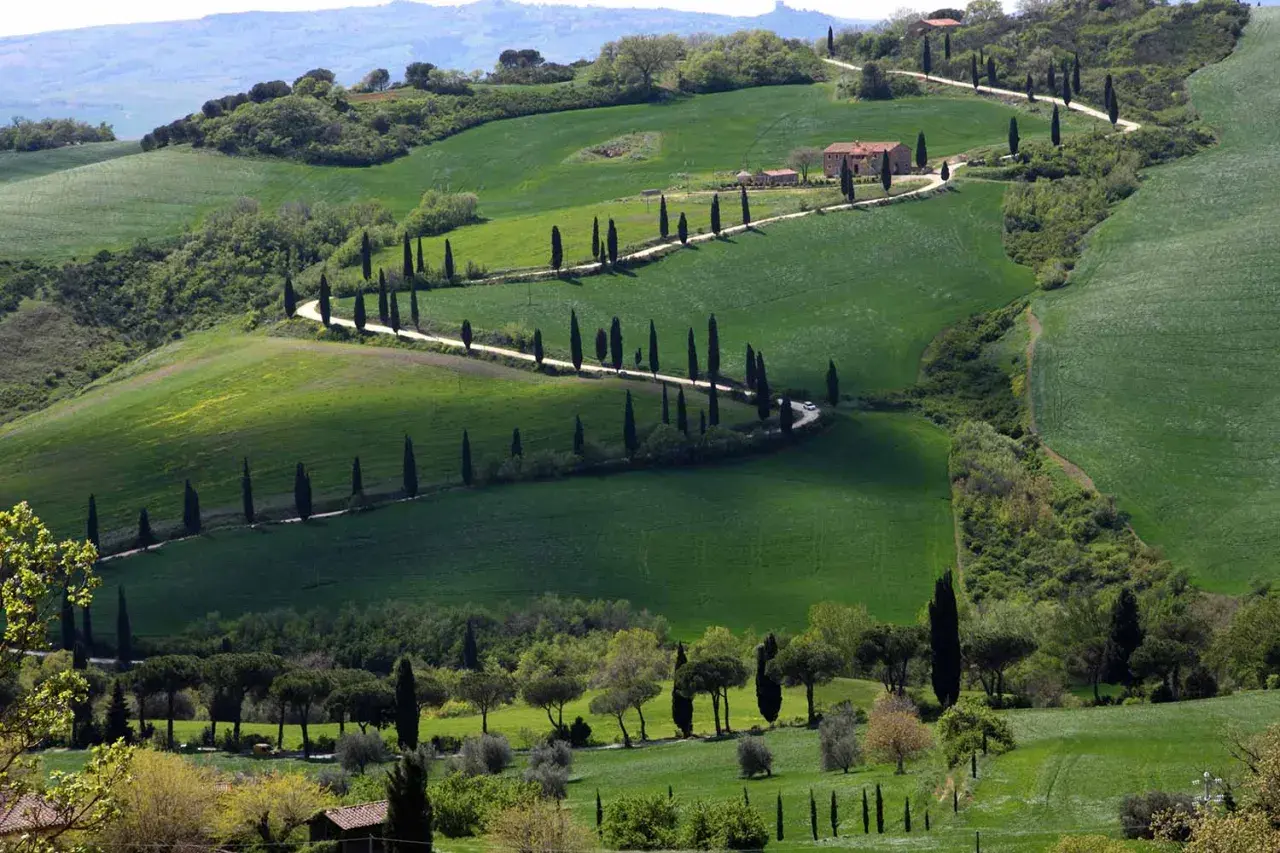Sanfte Hügel im Val d'Orcia, gesäumt von Zypressen, führen zu einem Bauernhaus. Eine Straße schlängelt sich durch die grüne Landschaft.