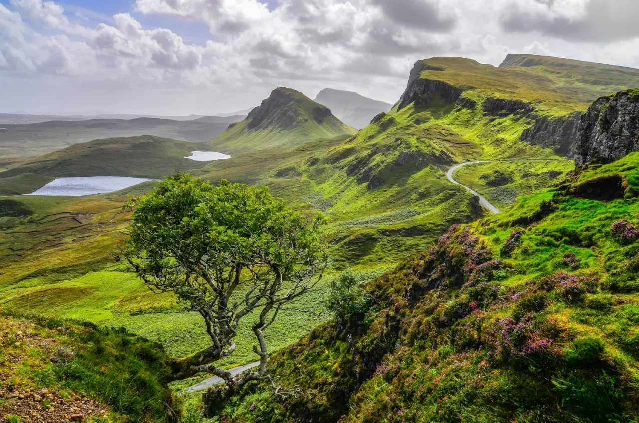 Winding road through lush green hills, a solitary tree, and distant lochs showcase the beauty of hiking trails in Scotland.