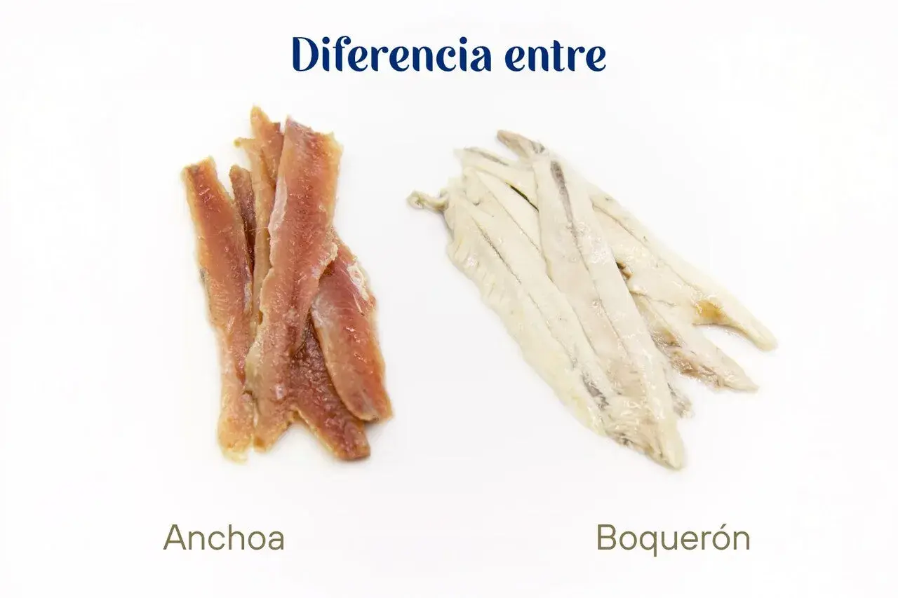 Dos montones de pescado: a la izquierda, filetes rojizos de anchoas; a la derecha, filetes blanquecinos de boquerones.