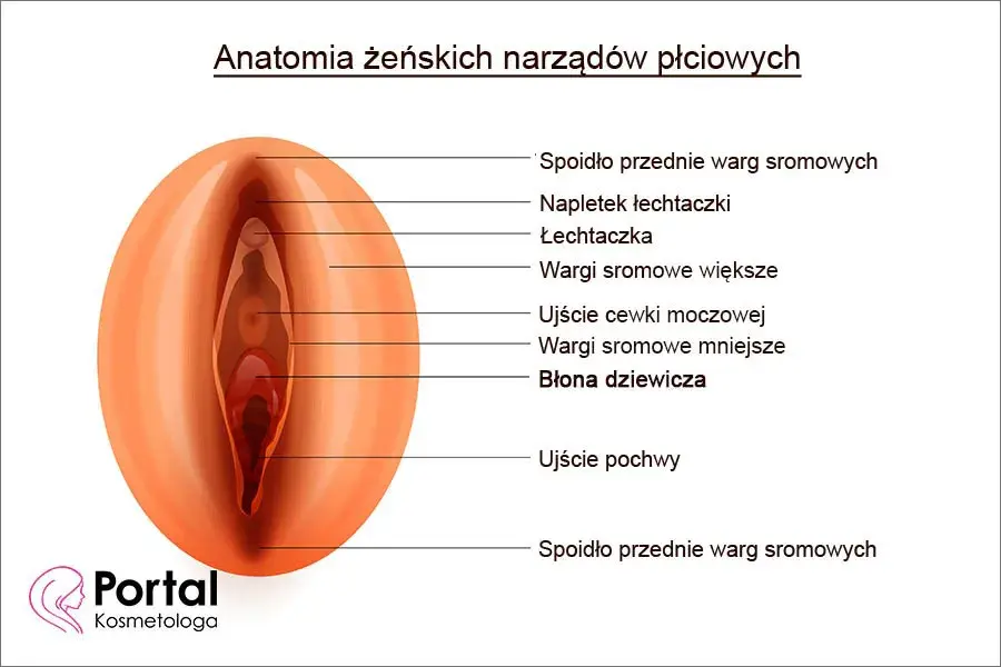 Jak poznać, że kobieta jest dziewicą - prawda o virginity i znakach