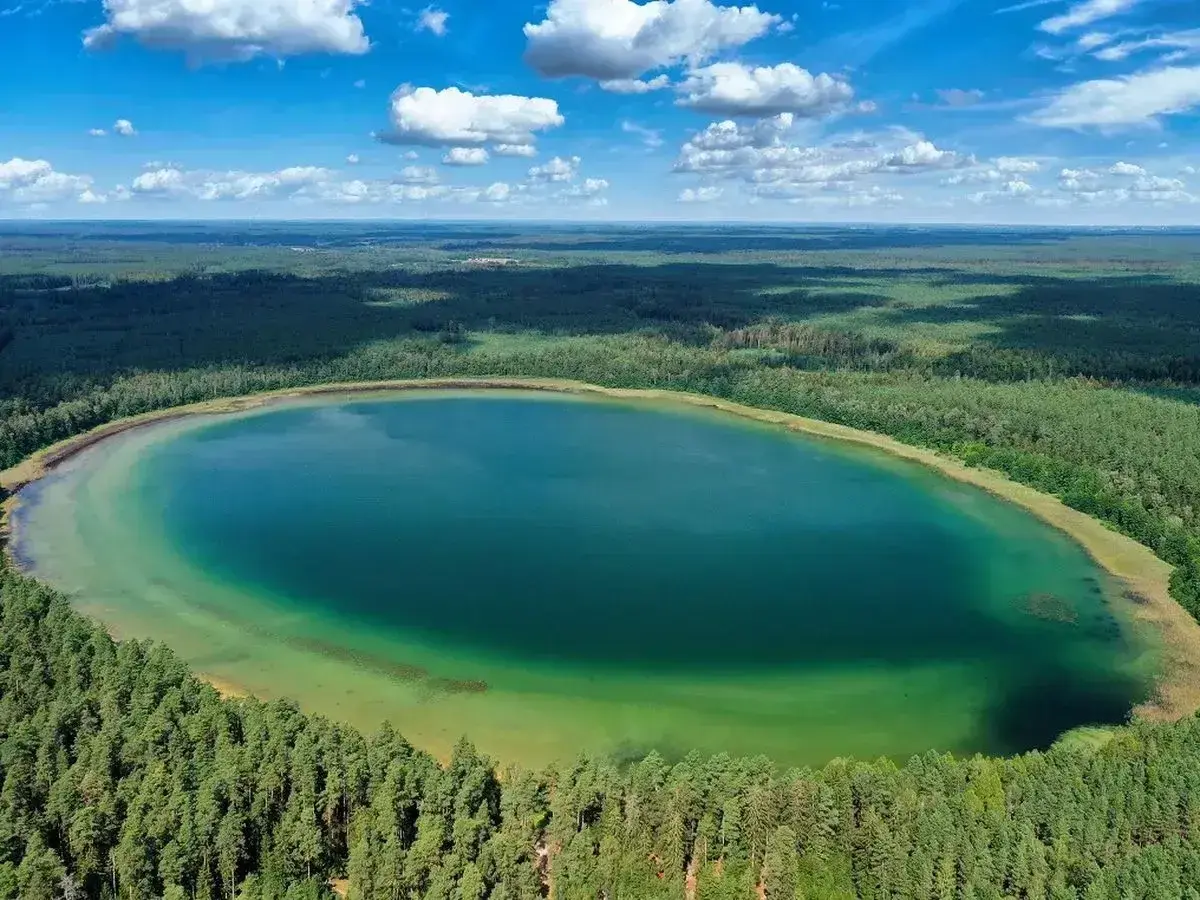 Widok z lotu ptaka na owalne jezioro o turkusowej wodzie, otoczone gęstym lasem. To najczystsze jezioro w Polsce, zachwyca przejrzystością.