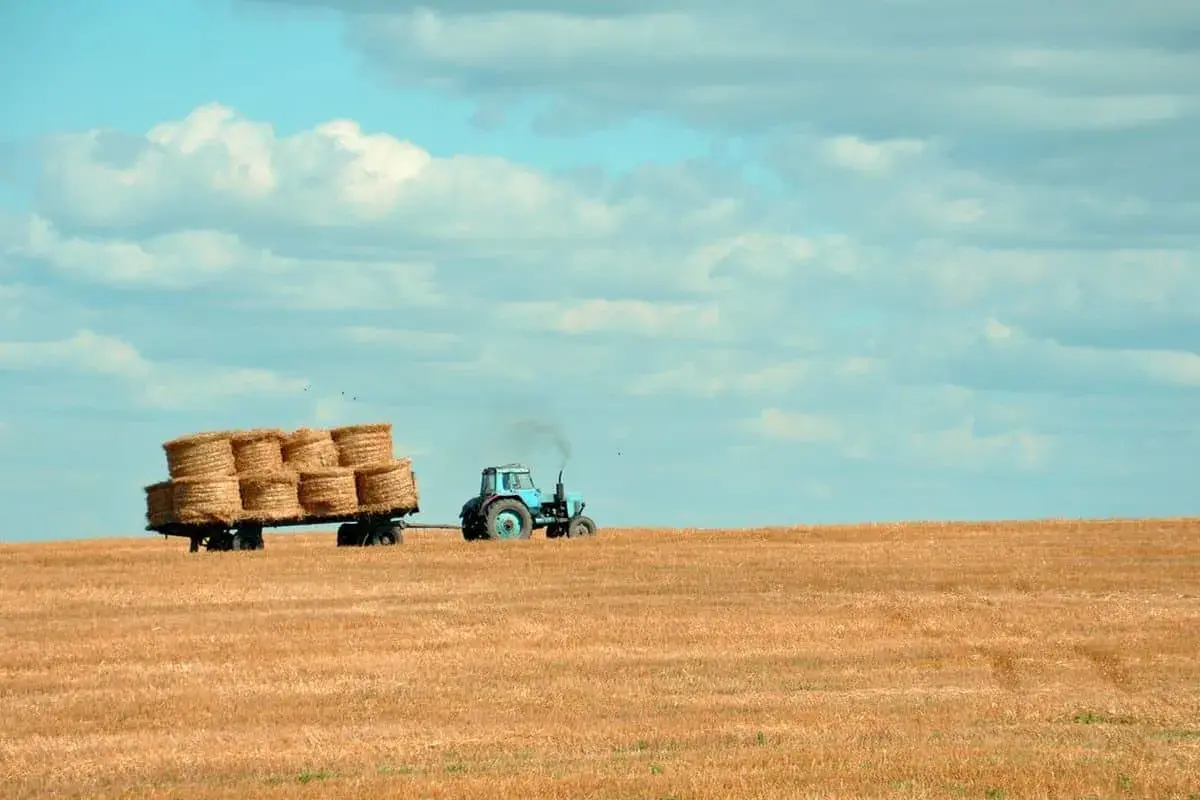 Niebieski traktor z przyczepą pełną bel siana na polu. To obraz ciężkiej pracy rolnika, który zasługuje na prawo do emerytury rolniczej według nowych zasad.
