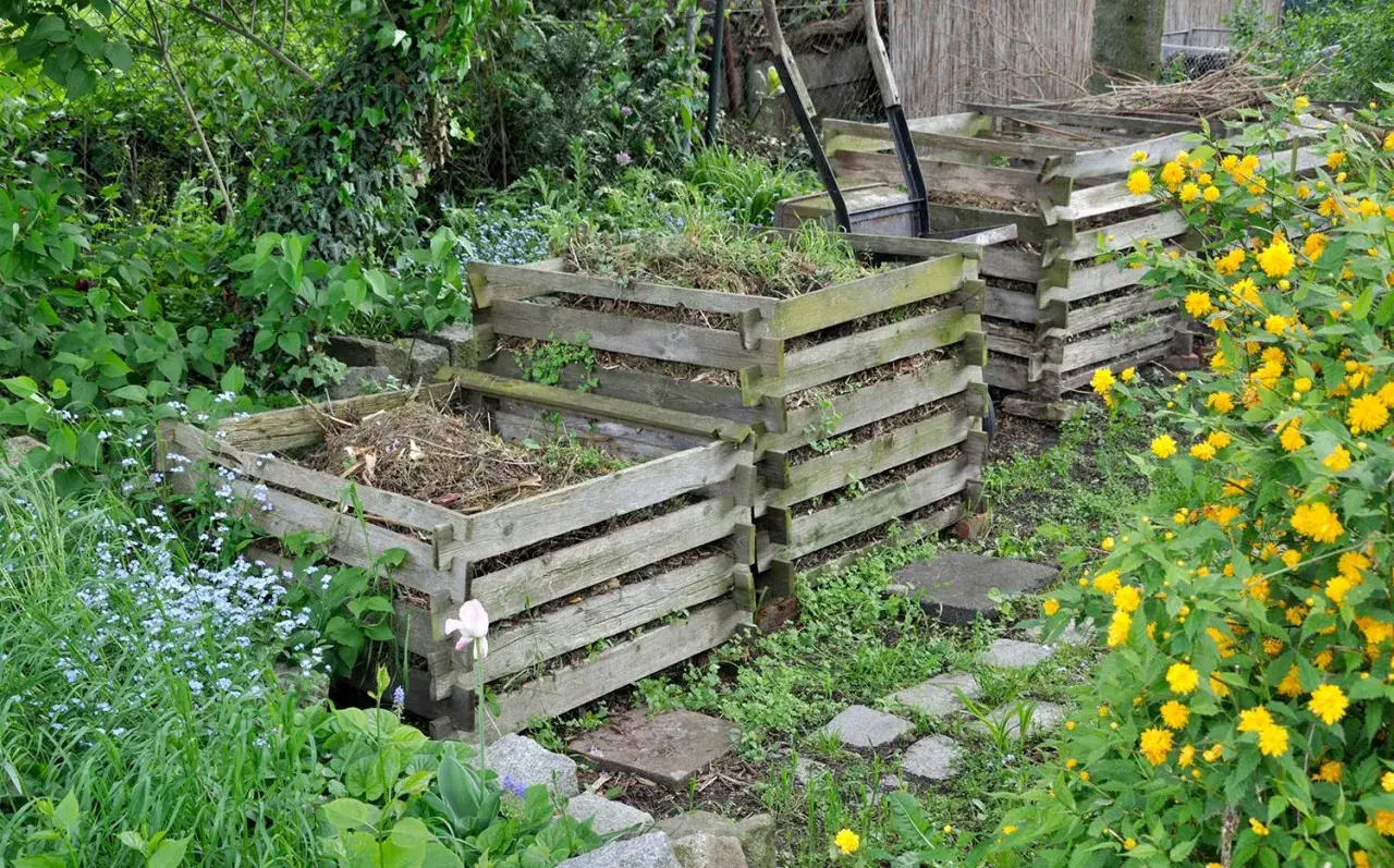 Mehrere Holzkomposter im Garten, bereit, um einen Komposthaufen anzulegen. Umgeben von grünen Pflanzen und gelben Blüten.