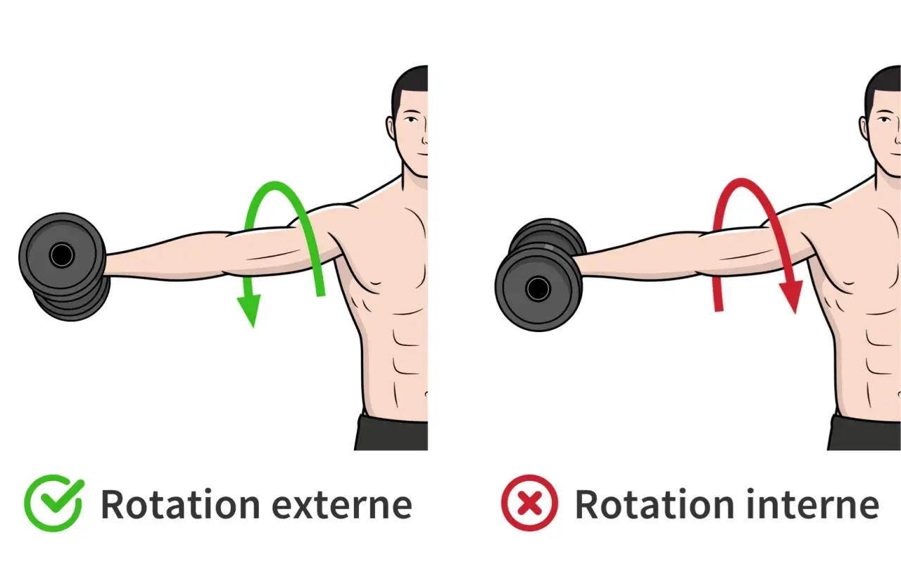 Rotation externe pour muscler les épaules : mouvement correct avec haltère. Rotation interne : mouvement incorrect.