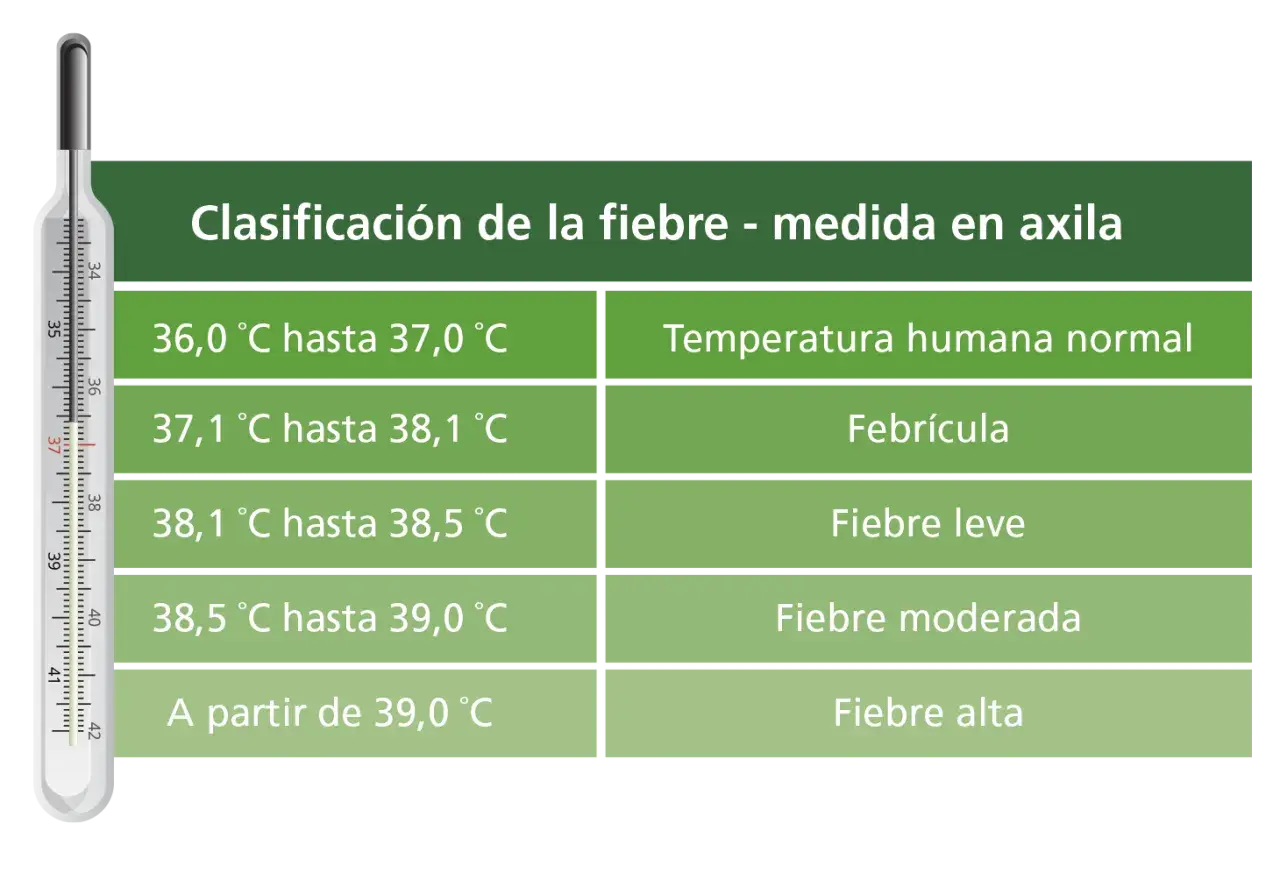 Termómetro muestra clasificación de fiebre en niños de 2 a 3 años: normal, febrícula, leve, moderada y alta.