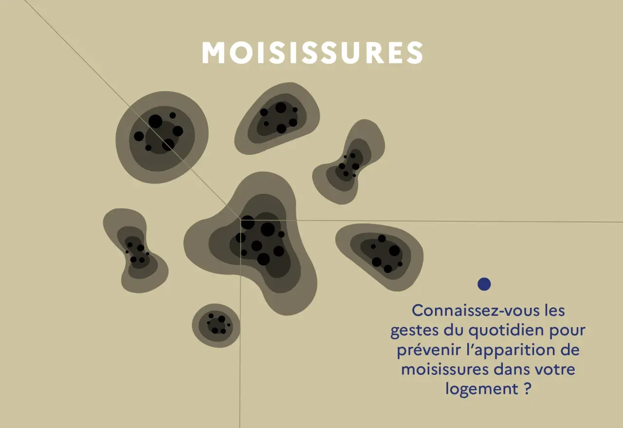 Des taches sombres et circulaires, symbolisant le problème d'humidité dans une maison, sont représentées. Le texte invite à découvrir comment prévenir les moisissures.