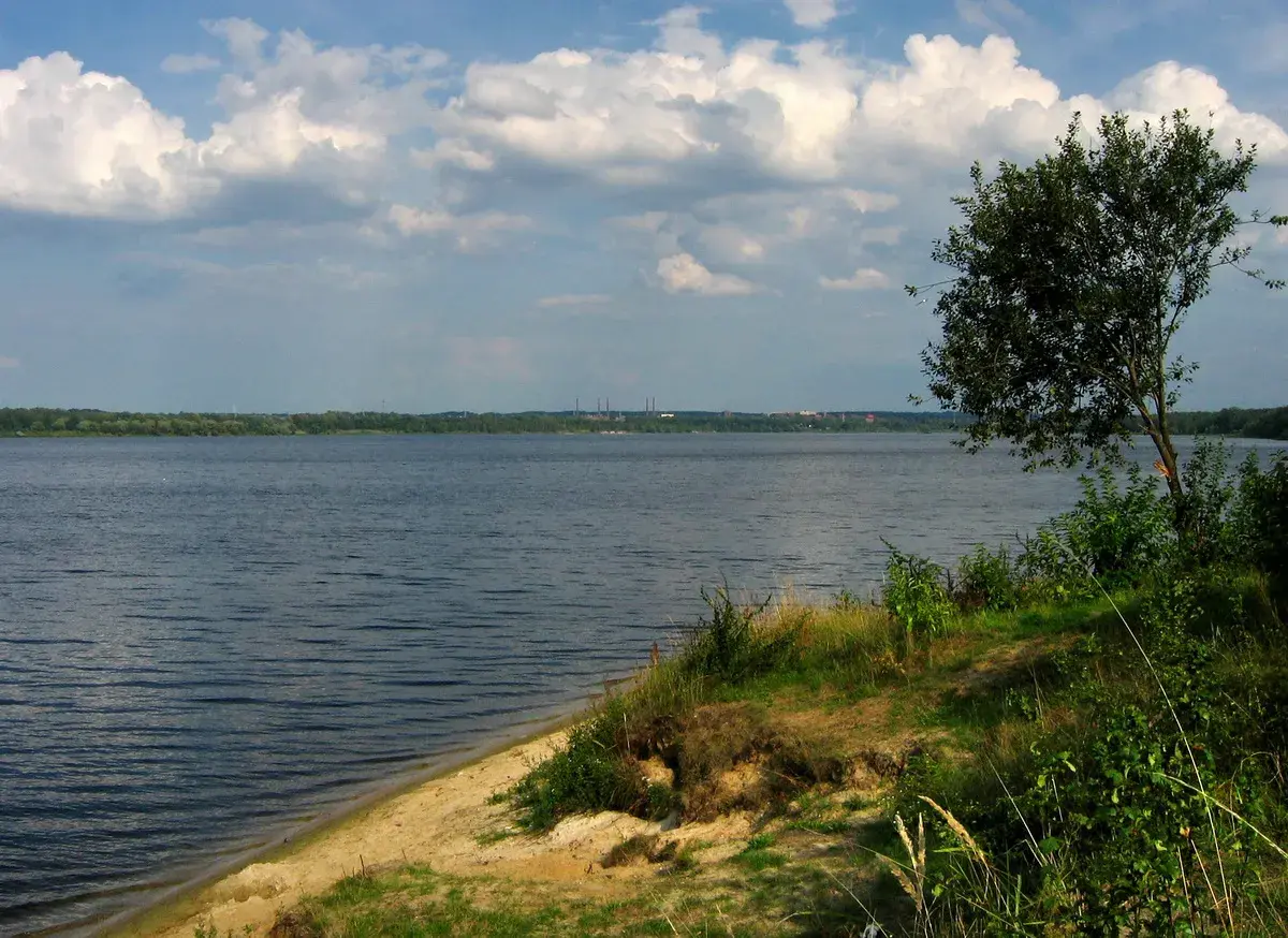 Spokojne, rozległe jezioro z piaszczystym brzegiem i drzewem na pierwszym planie. W oddali widać zalesiony horyzont i kominy.