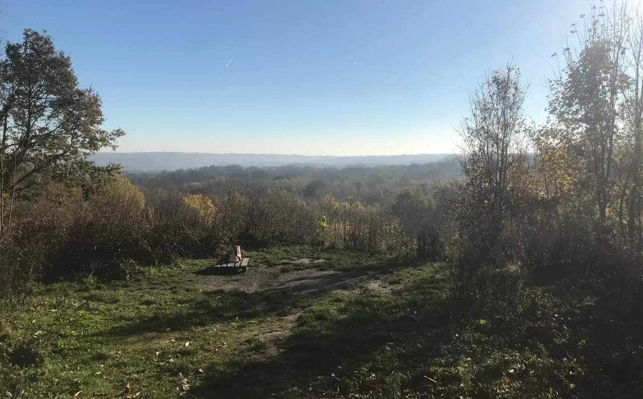 Vue panoramique sur la forêt de Marly par temps clair. Un banc solitaire invite à la contemplation du paysage vallonné.