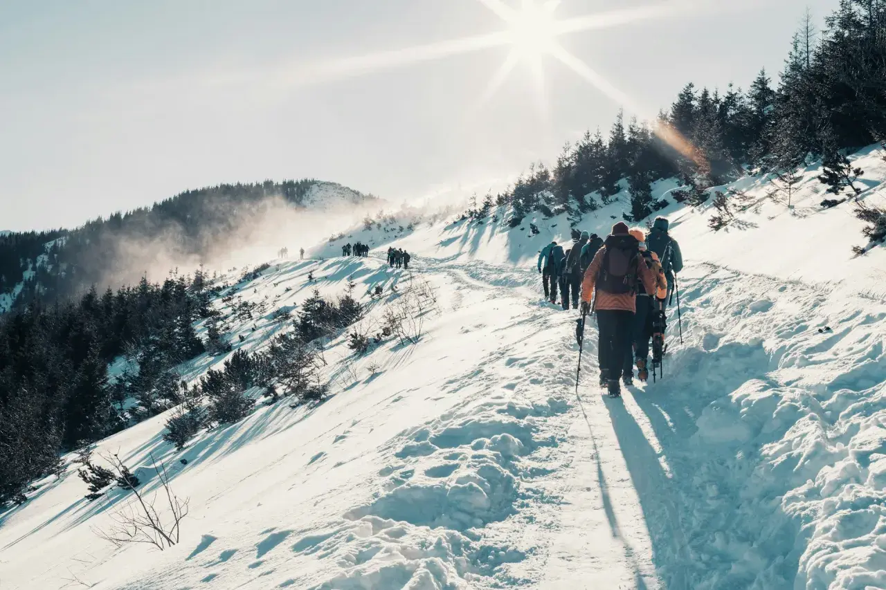 Grupa turystów wędruje ośnieżonym szlakiem. Słońce świeci jasno, tworząc długie cienie. To idealna sceneria na tatry zimą dla średniozaawansowanych.