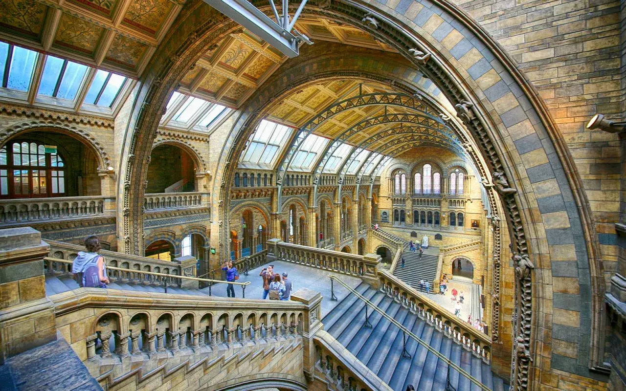 Imponerande interiör i naturhistoriska museet London med storslagna trappor och valv.