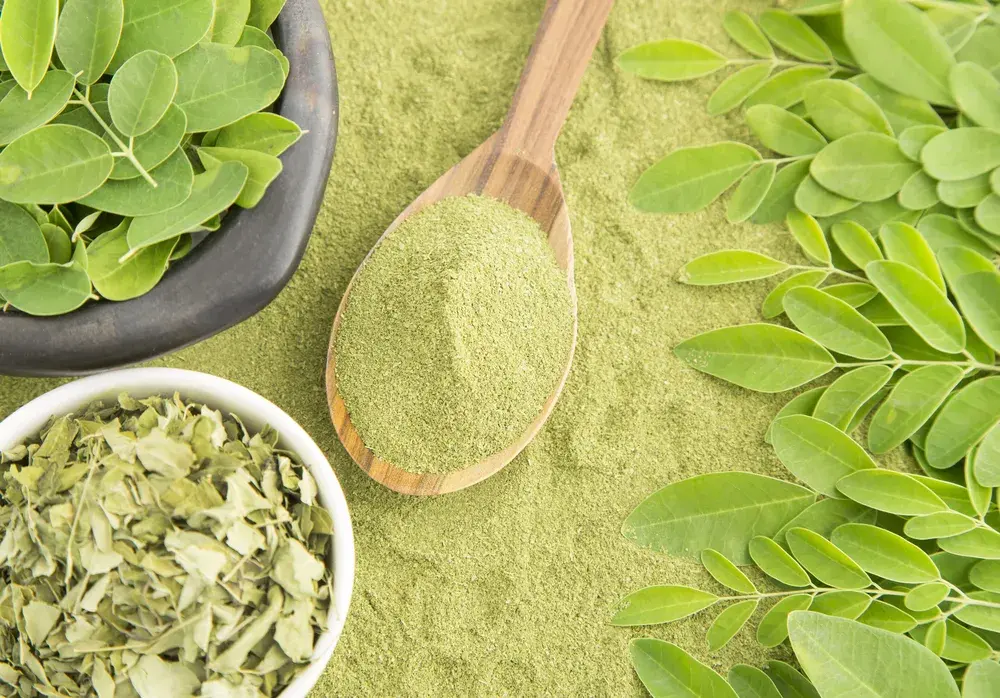 Moringa na odchudzanie jak stosować: skuteczne metody i dawkowanie