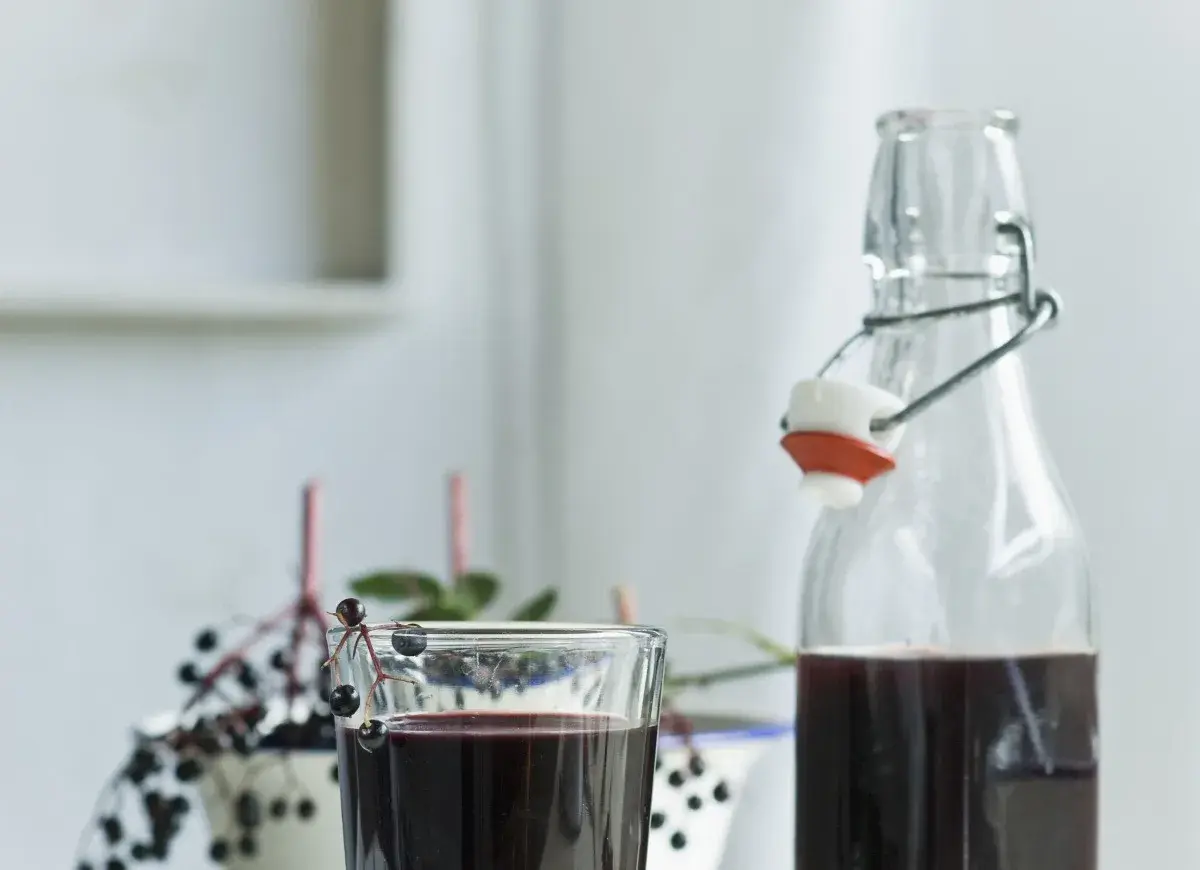 Sok z czarnego bzu – przepis babci. Szklanka i butelka z ciemnym napojem, ozdobione gałązkami z owocami.