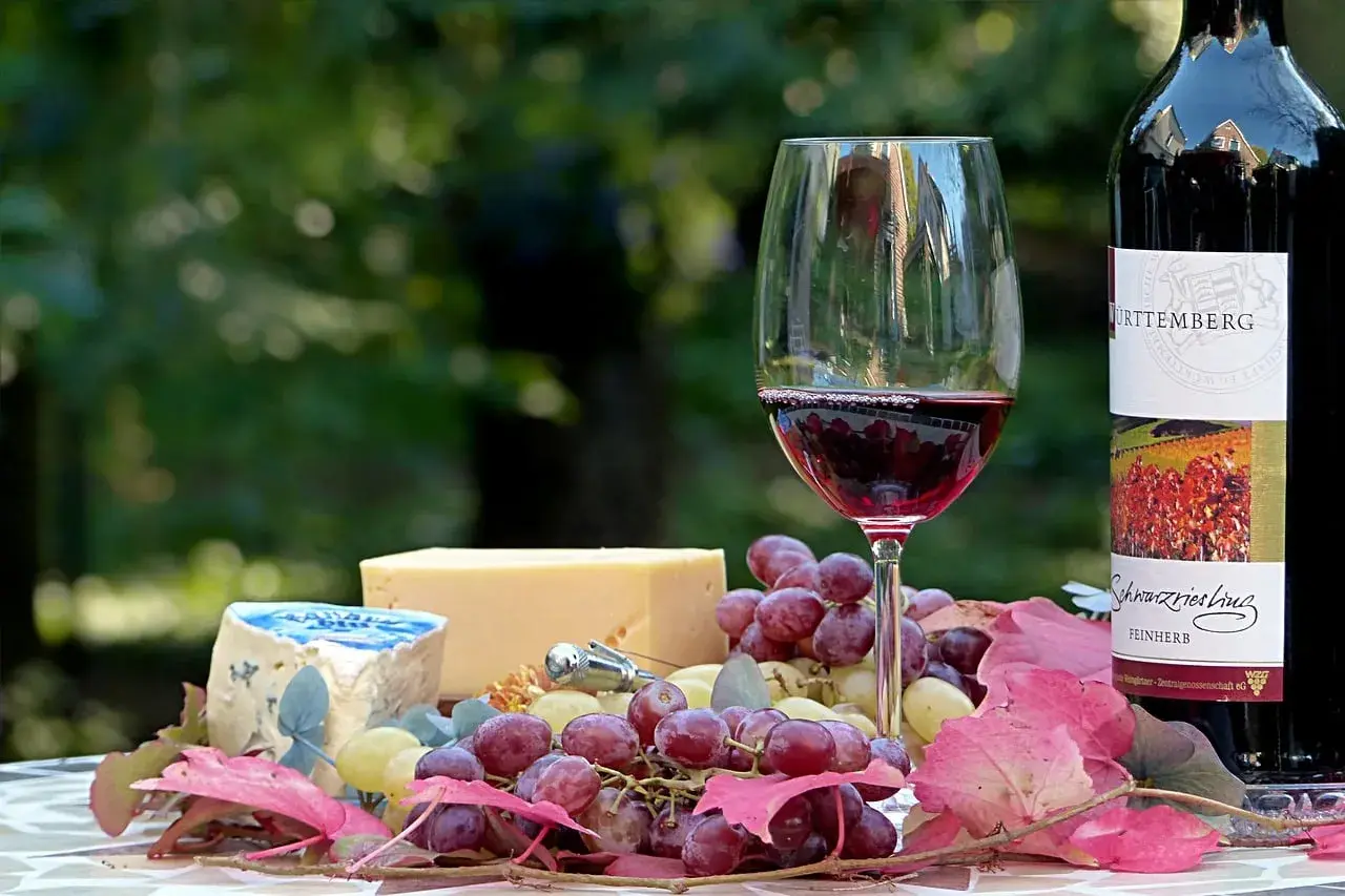 Verre de vin rouge, fromage bleu et jaune, raisins et feuilles d'automne. Une belle invitation à découvrir quel vin rouge avec fromage.