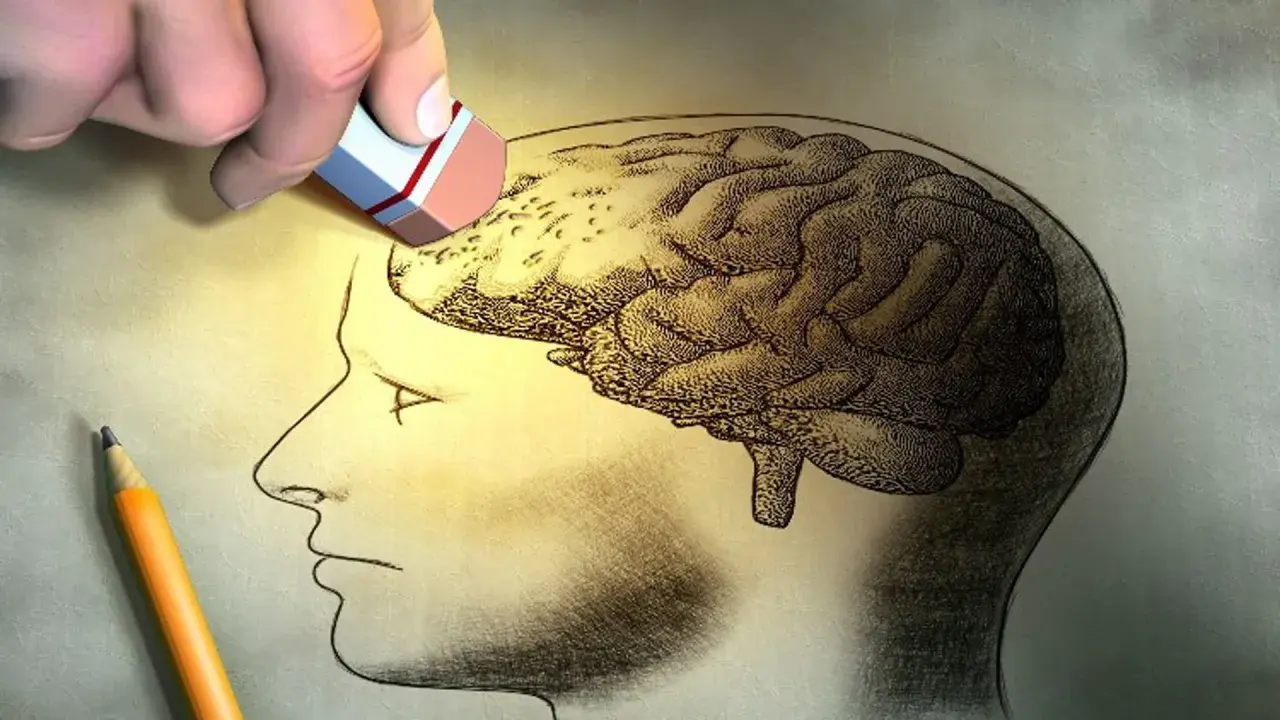 Un borrador elimina parte de un cerebro dibujado, sugiriendo la memoria selectiva. Un lápiz descansa cerca.