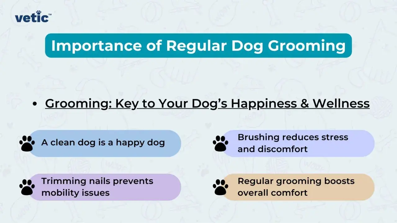 Discover essential dog grooming tips! Learn how regular grooming boosts your dog's happiness, wellness, and comfort, preventing issues like stress and mobility problems.