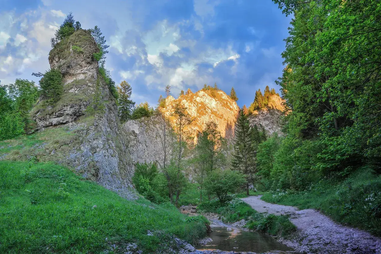 Pieniny co warto zobaczyć: skaliste zbocza, strumień i ścieżka wśród zieleni. Słońce oświetla szczyty gór.