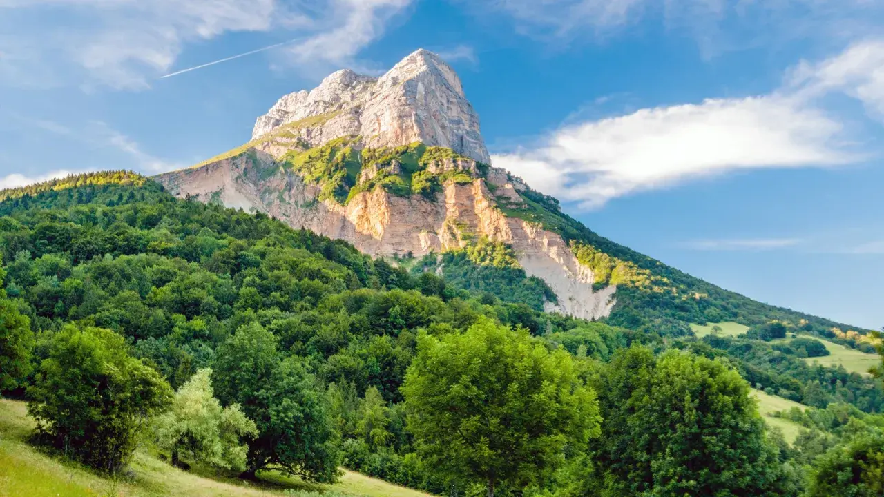 Vaste forêt verdoyante au pied d'une montagne majestueuse, un paysage qui pourrait bien être la plus belle forêt de France.