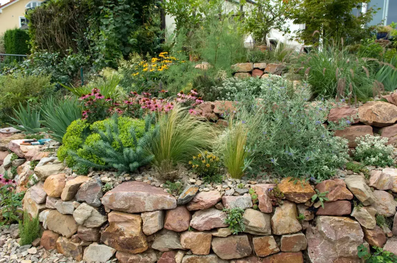 Ein Steingarten mit vielen Pflanzen und Blumen, der zeigt, wie man mit 1001 Ideen Garten gestalten mit wenig Geld kann.
