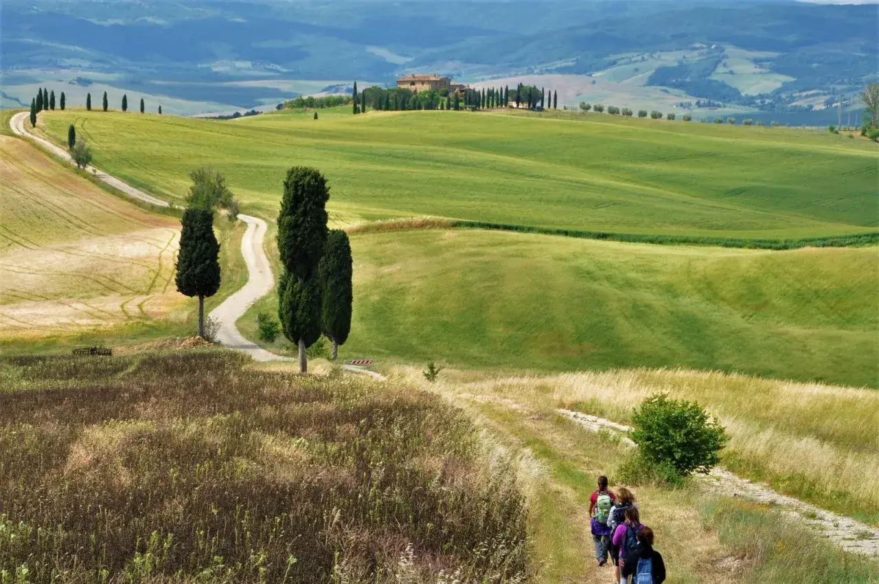 Un gruppo di escursionisti percorre un sentiero nella **route des vins toscane**, tra dolci colline verdi e cipressi iconici.