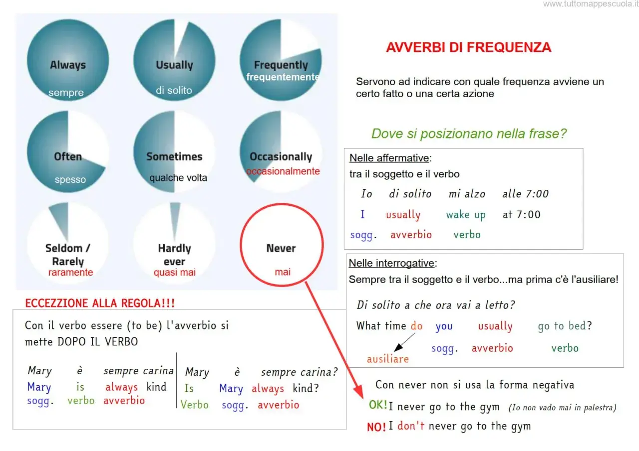 Diagramma con avverbi di frequenza in inglese: Always, Usually, Often, Sometimes, Seldom/Rarely, Hardly ever, Frequently, Occasionally, Never. Spiega la loro posizione nelle frasi.