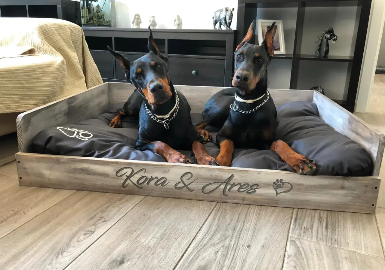 Dos Dóberman descansan en una cama de madera personalizada, "Kora & Ares". Ideal para quienes buscan como hacer una cama para perros de madera.