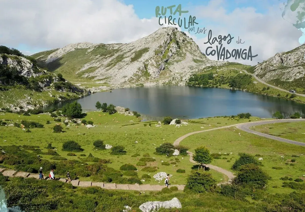 Un perro disfruta de la ruta circular por los lagos de Covadonga, con un paisaje montañoso y un lago sereno.