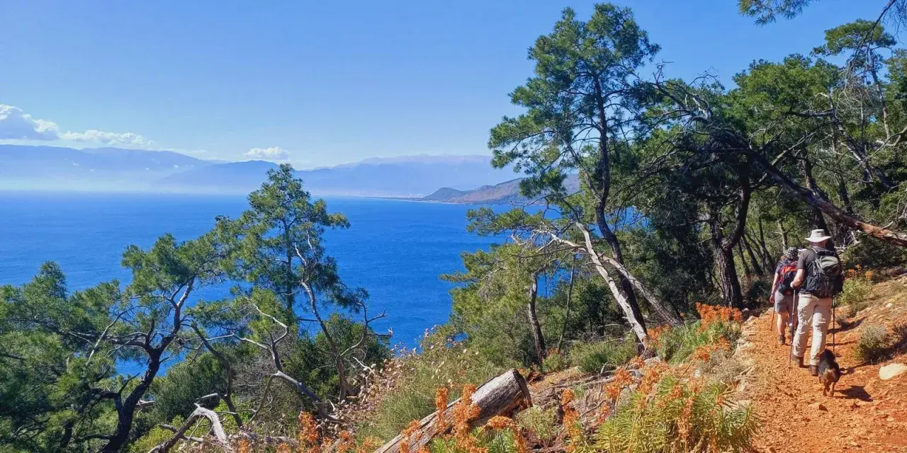 Hikers and their dog enjoy a scenic walk along a coastal trail in Turkey, with stunning blue sea views.