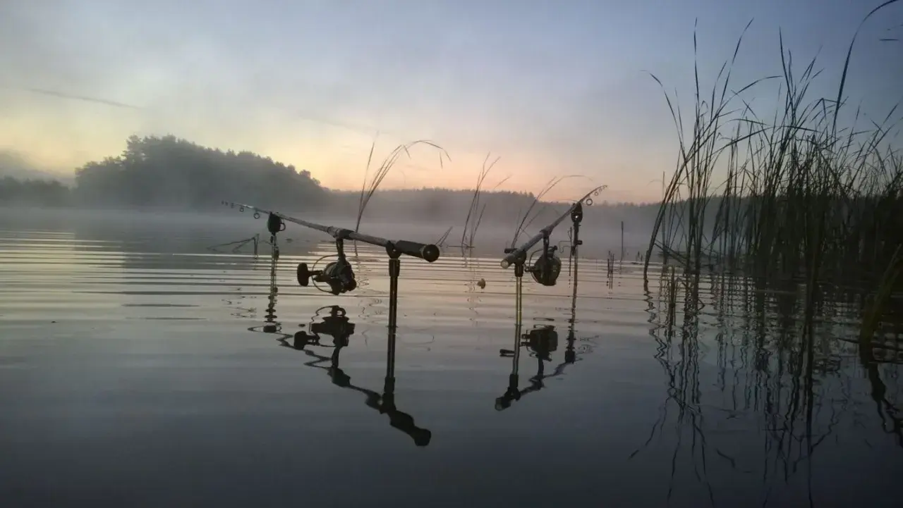 Dwie wędki ustawione na brzegu jeziora o wschodzie słońca, mgła unosi się nad wodą, czekając na branie sazana.