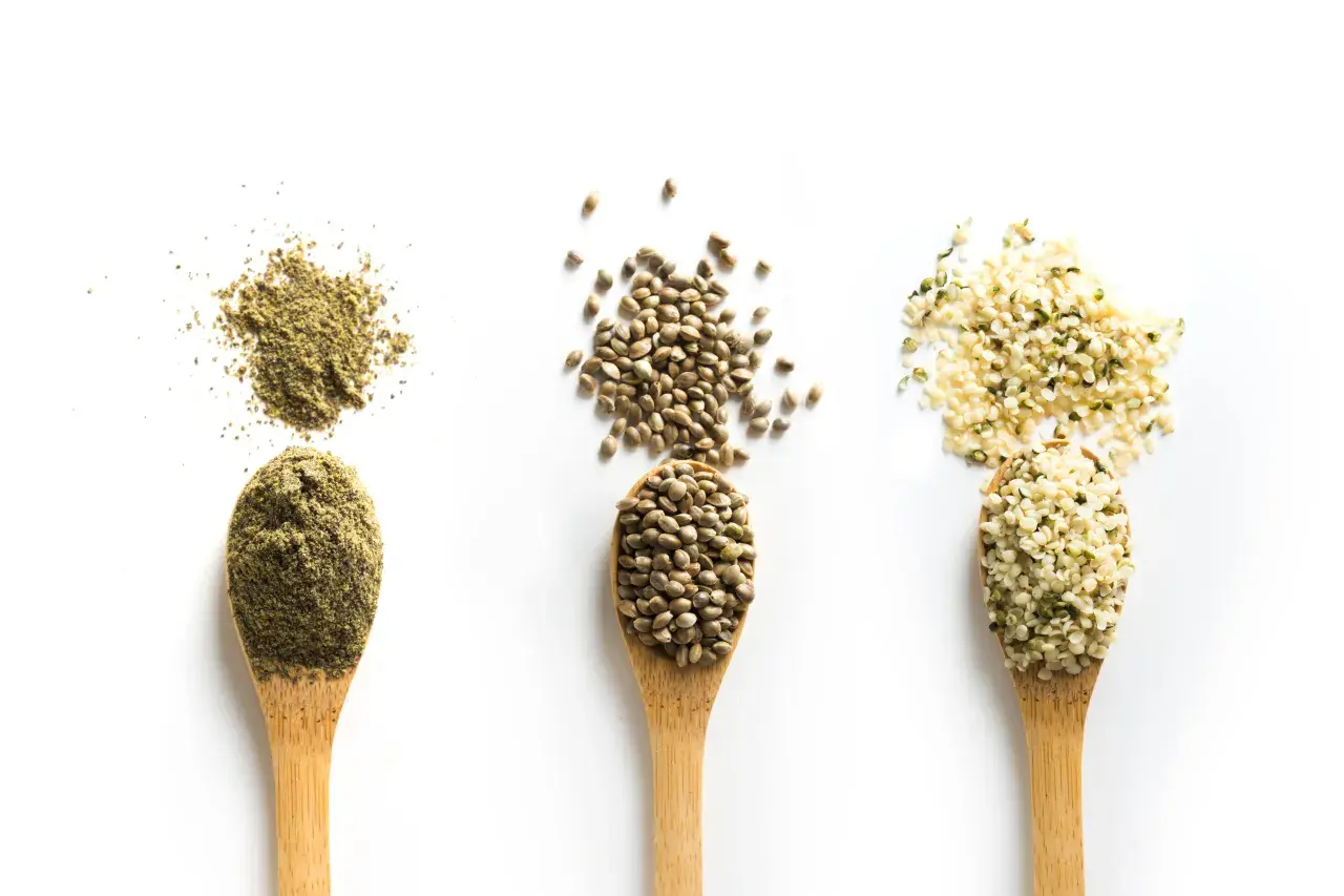 Drei Löffel mit Hanfsamen, Hanfprotein und geschälten Hanfsamen. Entdecke die vielfältige hanfsamen wirkung für deine Gesundheit.